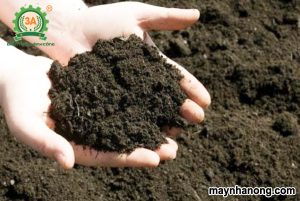 Cách ủ phân chuồng cho hoai mục để bón cây | Tài nguyên thực vật
