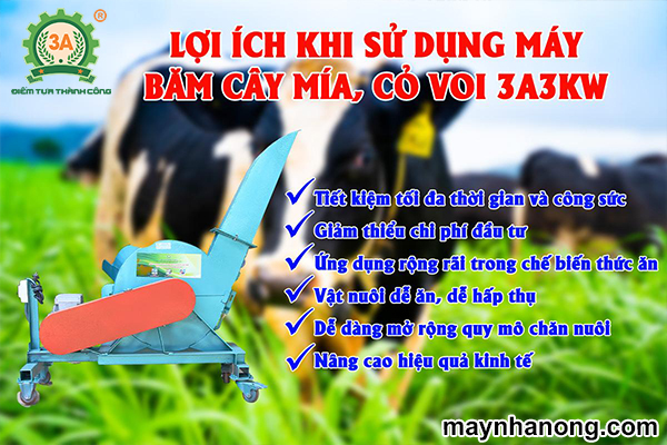 lợi ích