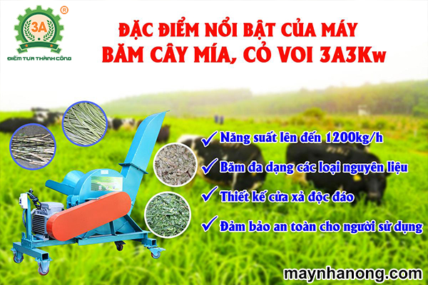 Đặt điểm nổi bật máy băm cây mía, cỏ voi 3A3Kw