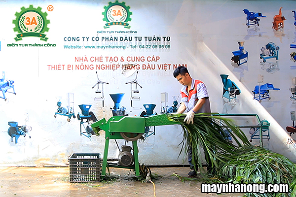 Máy băm cỏ, cây ngô