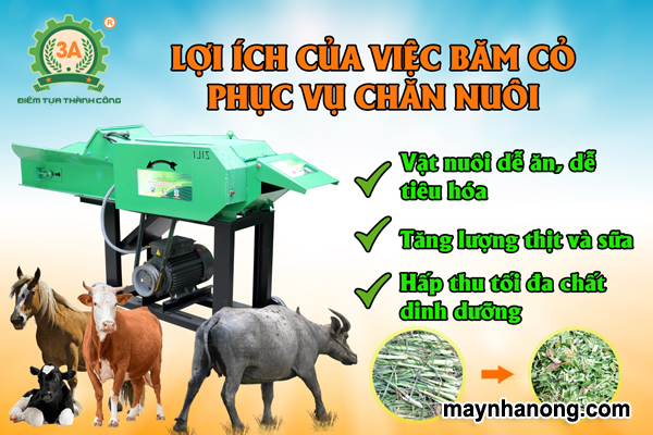 Máy băm cỏ cho bò