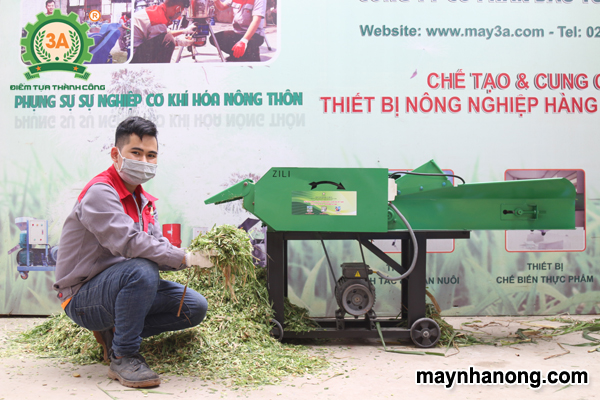 Máy băm cỏ cho bò 3A3Kw (loại băng tải)