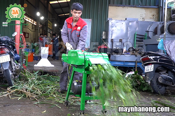 Kỹ thuật nuôi cừu từ A-Z