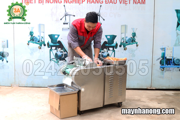 Máy thái rau, củ, quả đa năng