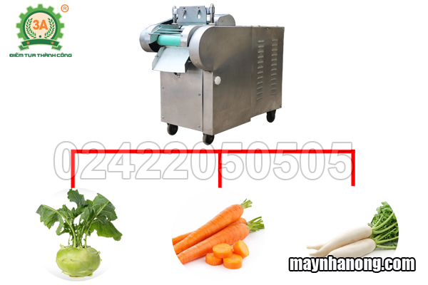 Máy thái rau, củ, quả đa năng 3A1,5Kw (loại băng tải)