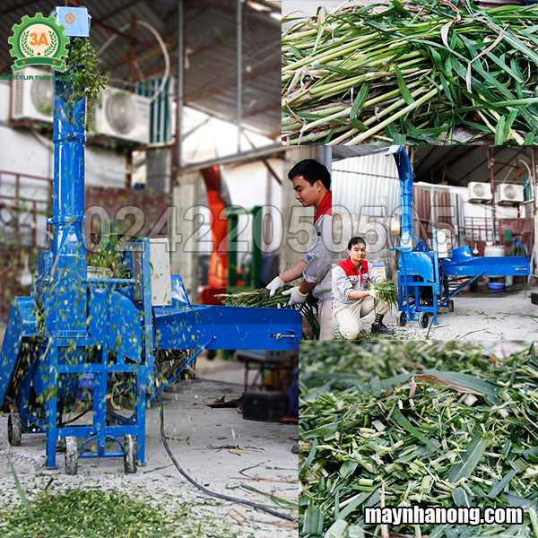 máy băm cỏ tq9z4c