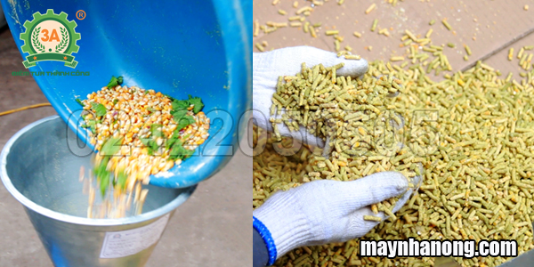 heo con bao nhiêu ngày tách mẹ