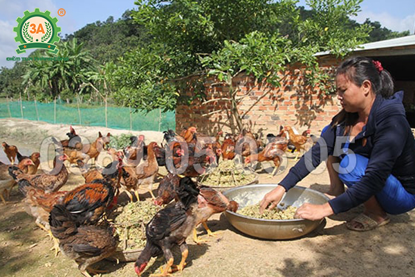 Máy nghiền đa năng 3A – Tái chế cỏ, thân cây, rau củ nhanh chóng, tiết kiệm
