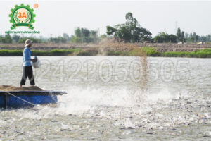 Máy Ép Cám Nổi 3A7,5 kW Cho Cá Tôm