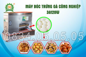 Máy bóc trứng gà công nghiệp